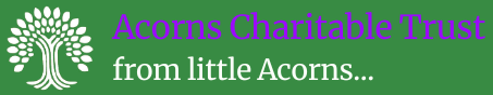 acorns v 2